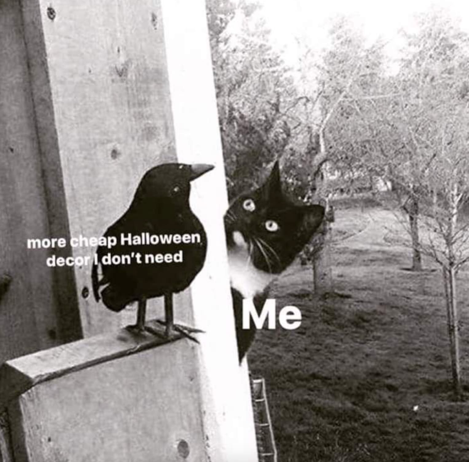 halloween decor meme - more cheap Halloween decor don't need Me